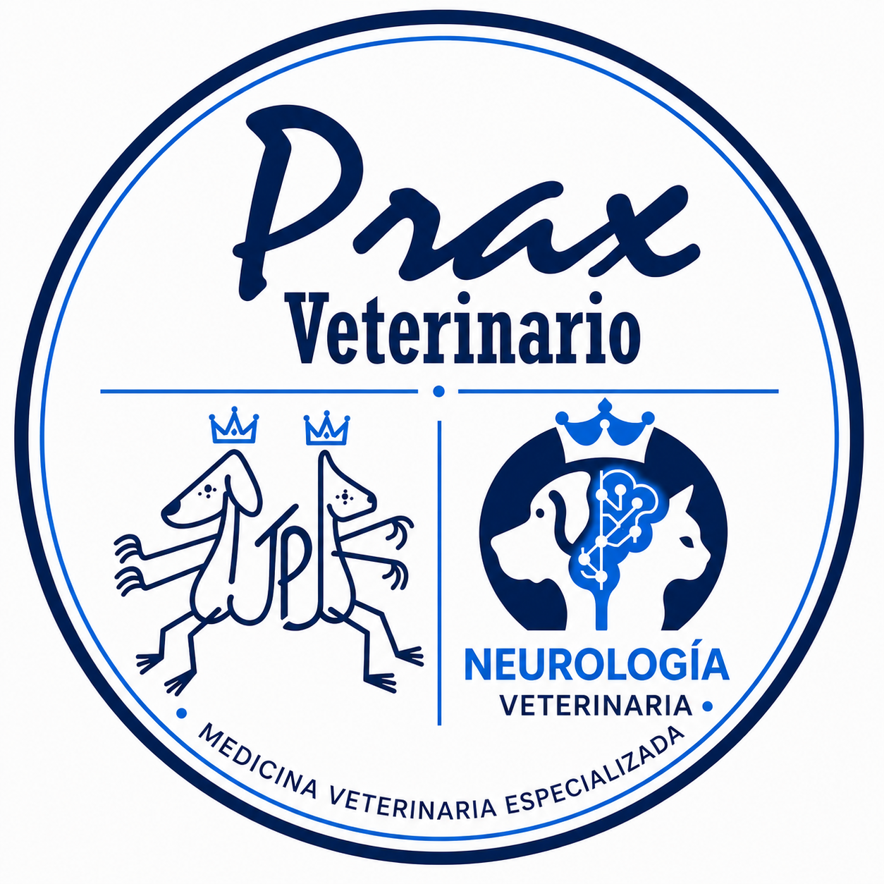 Prax Veterinario · Medicina veterinaria especializada